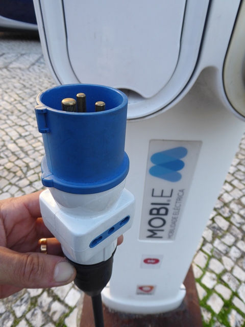 P1010156.JPG